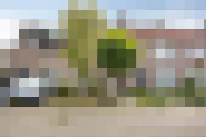 Kapittel 22 Grootebroek thumbnail 26