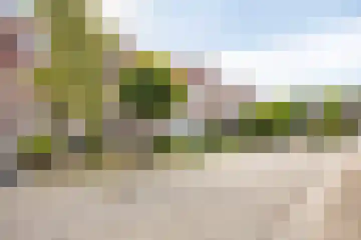 Kapittel 22 Grootebroek thumbnail 27