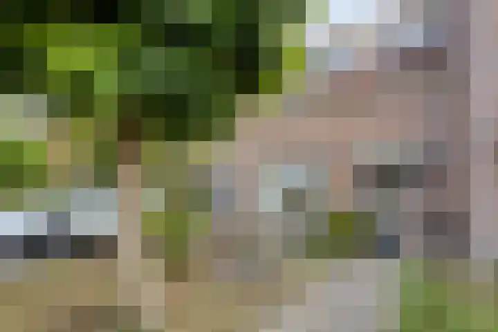 Kapittel 22 Grootebroek thumbnail 7