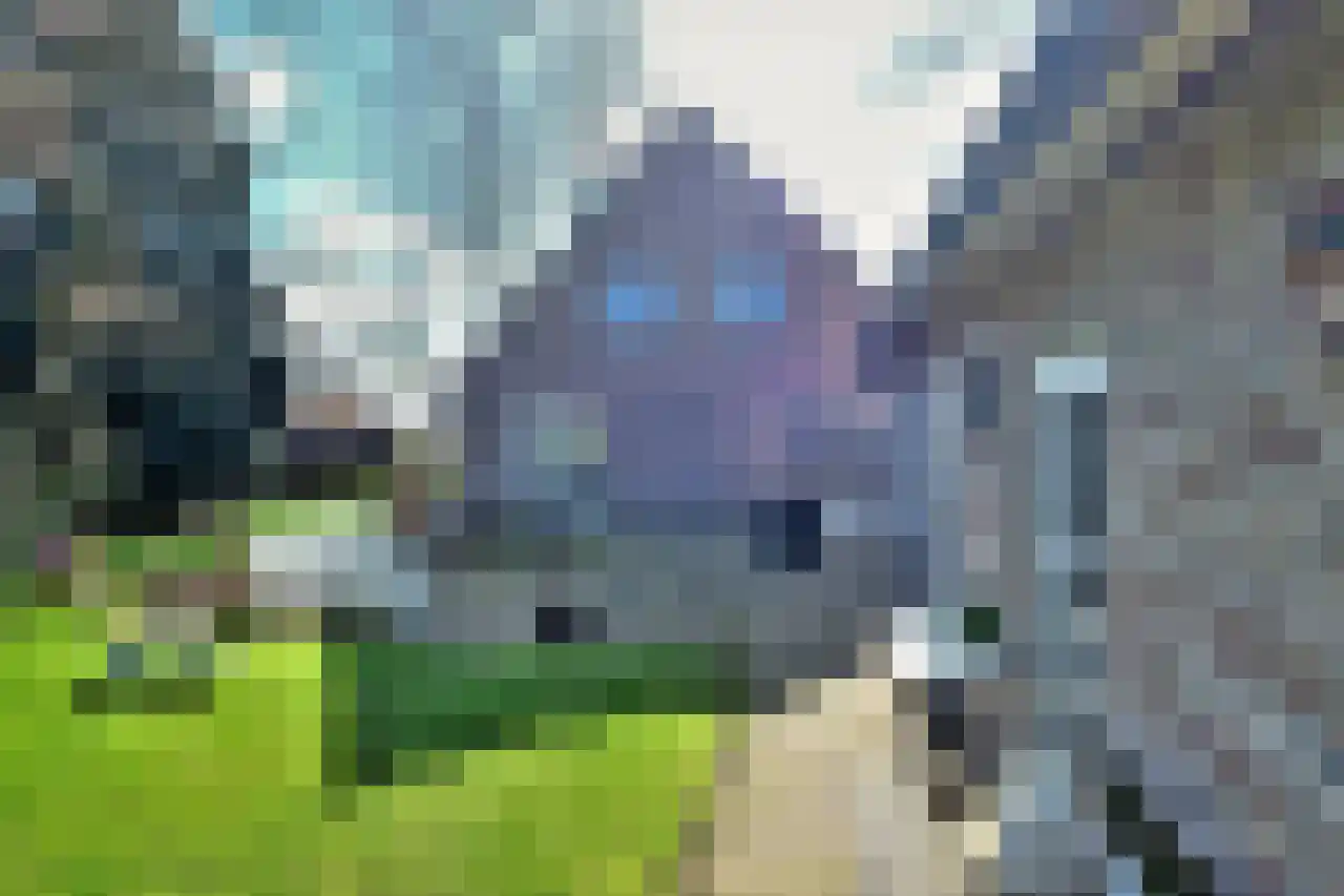Kapitteldijk 10 Leuth thumbnail 21