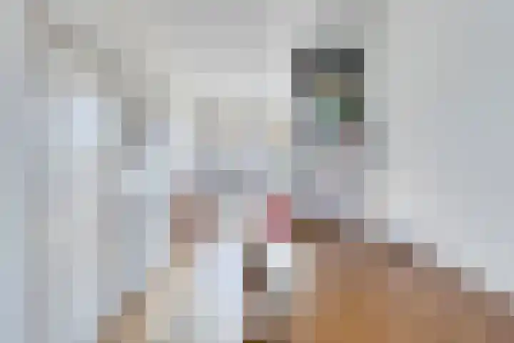 Kapittelherenstraat 5 Eijsden thumbnail 8