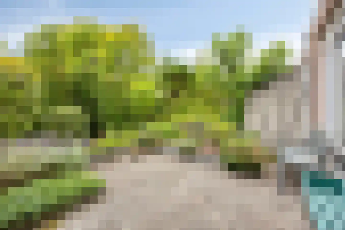 Kapittelhoek 6 Hoogvliet Rotterdam thumbnail 4