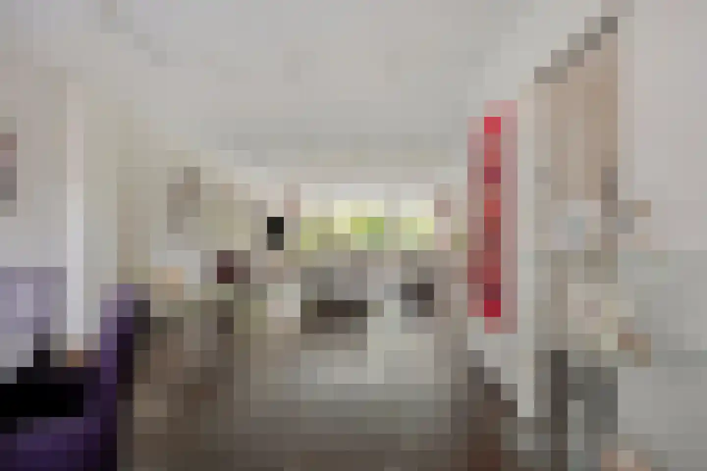 Kapittelhoek 6 Hoogvliet Rotterdam thumbnail 7
