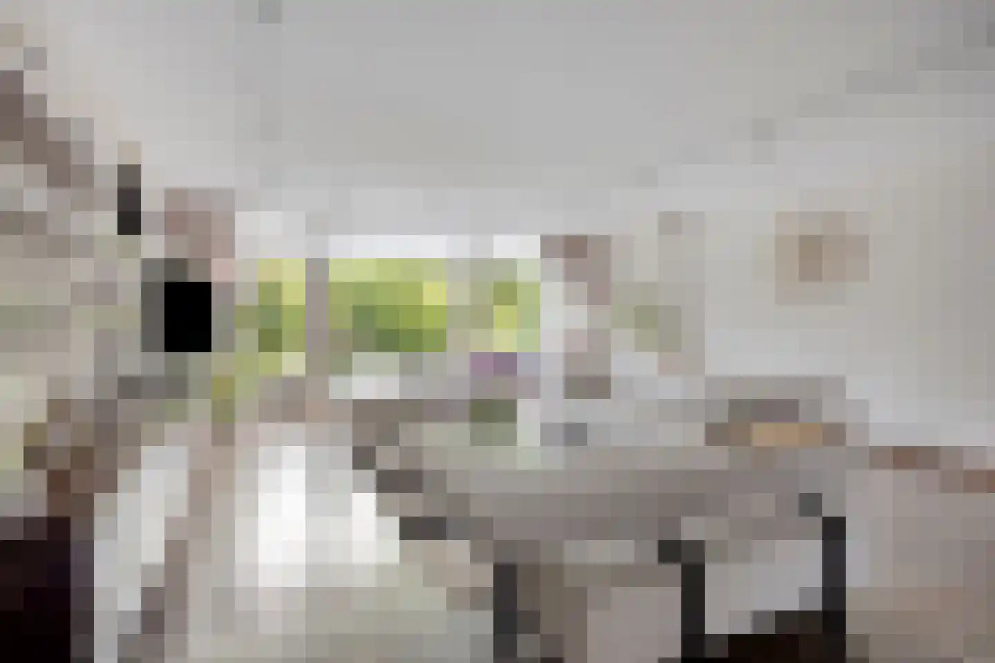 Kapittelhoek 6 Hoogvliet Rotterdam thumbnail 9