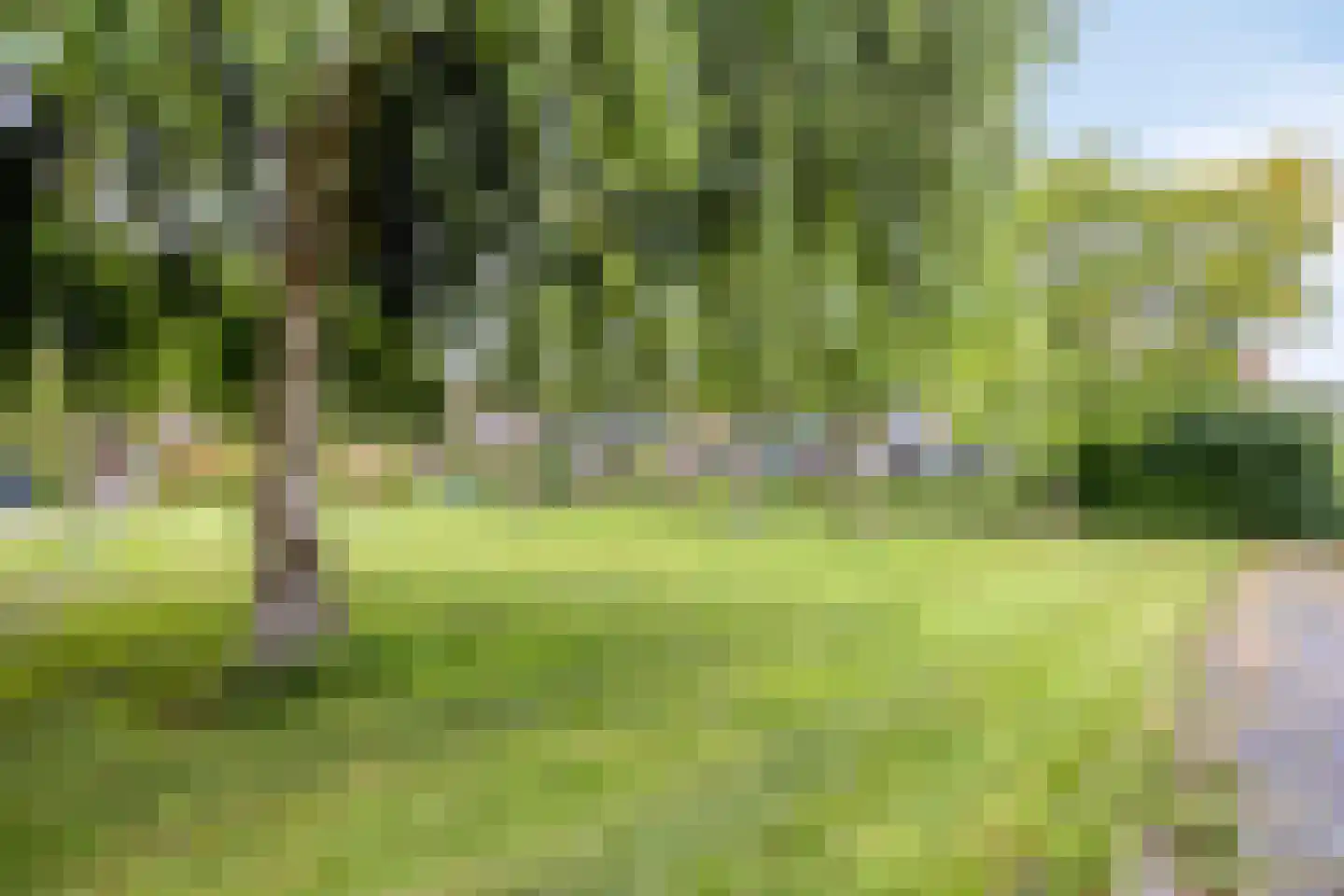 Kapittelhoek 8 Hoogvliet Rotterdam thumbnail 22