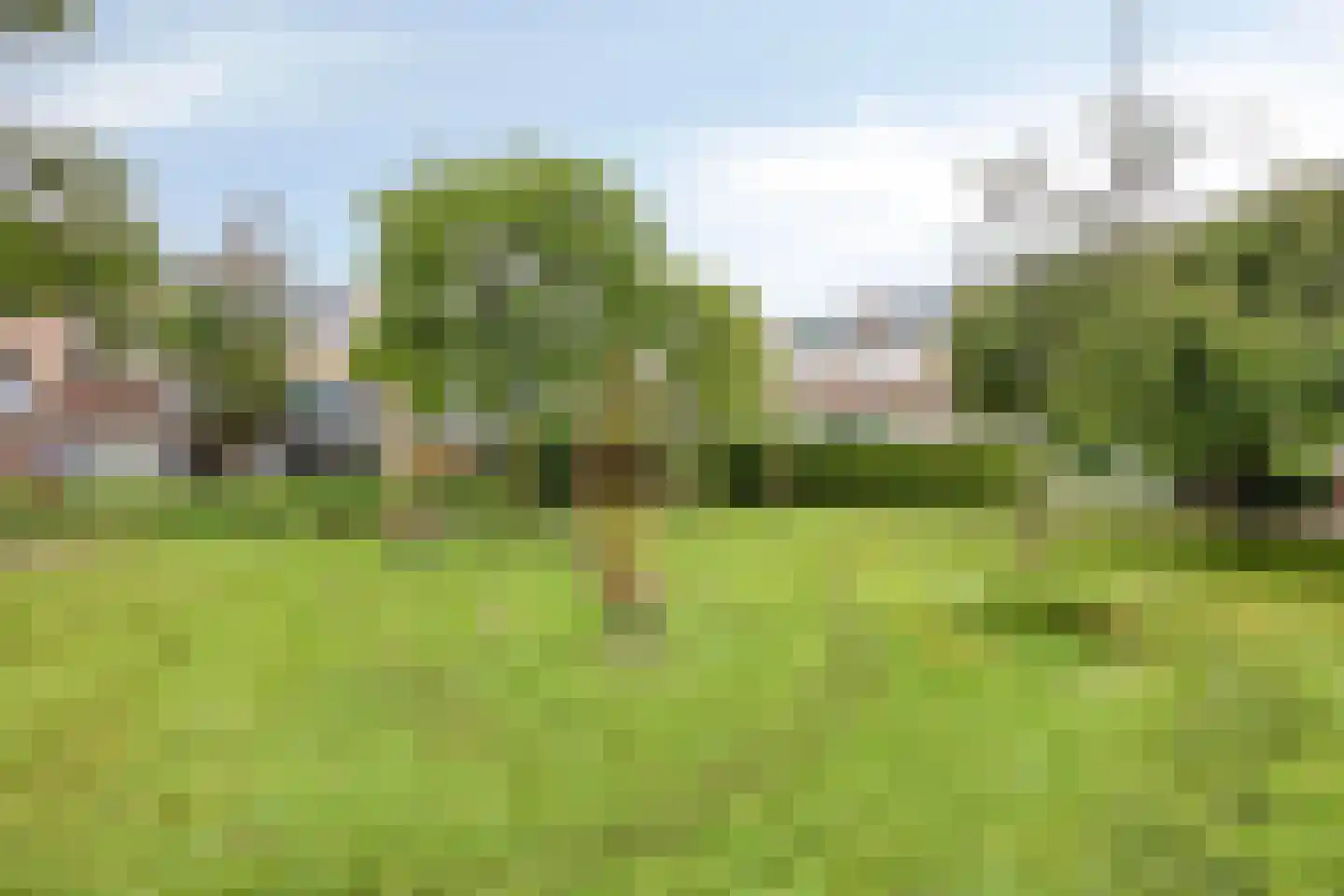 Kapittelhoek 8 Hoogvliet Rotterdam thumbnail 23