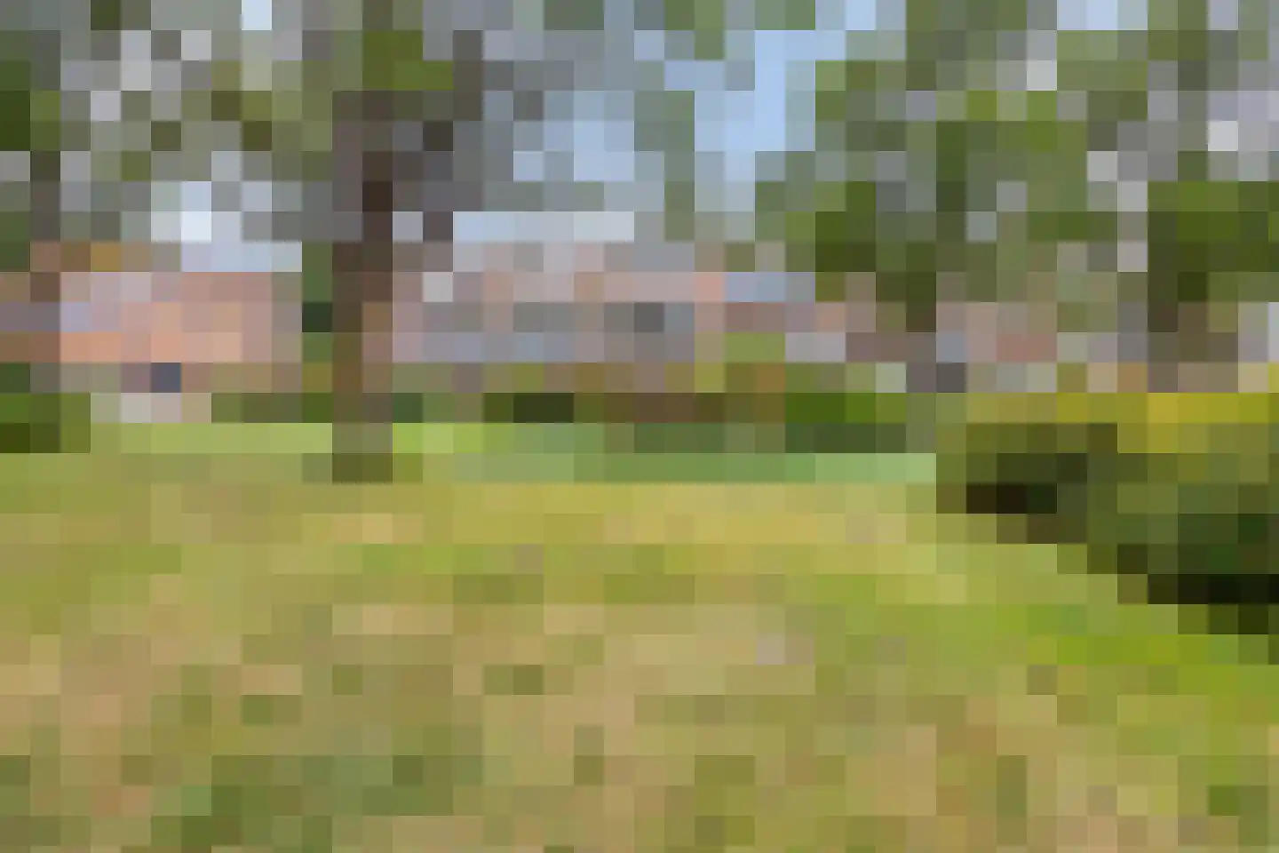 Kapittelhoek 8 Hoogvliet Rotterdam thumbnail 24