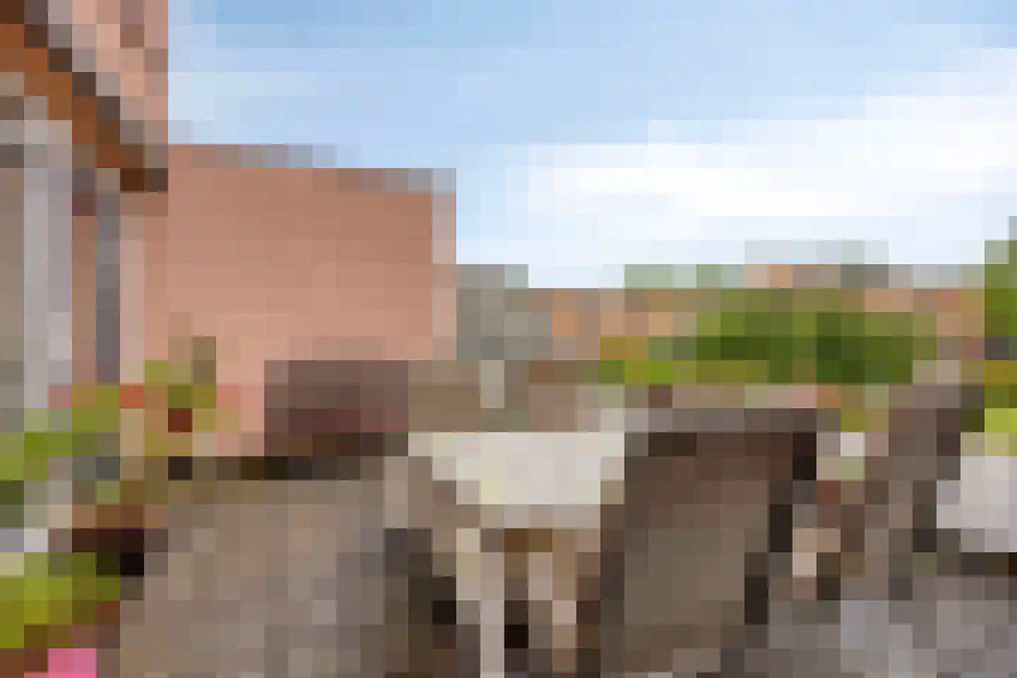 Kapittelhoek 8 Hoogvliet Rotterdam thumbnail 7