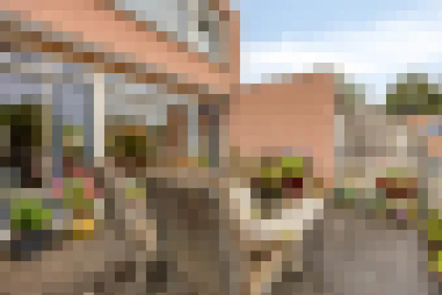 Kapittelhoek 8 Hoogvliet Rotterdam thumbnail 8