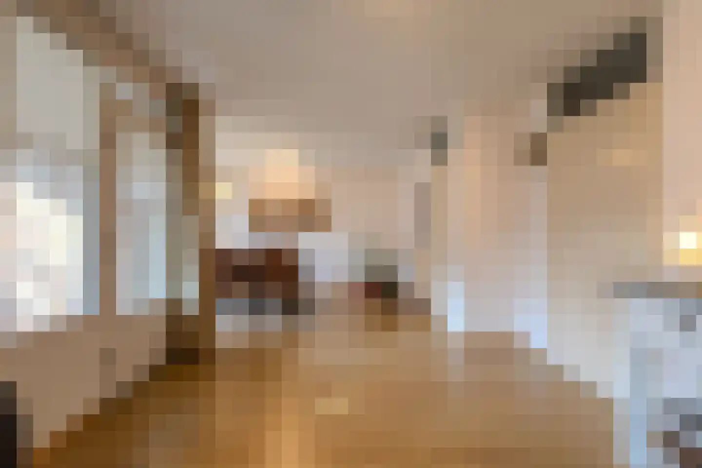 Kapittelhof 16 Oirschot thumbnail 12