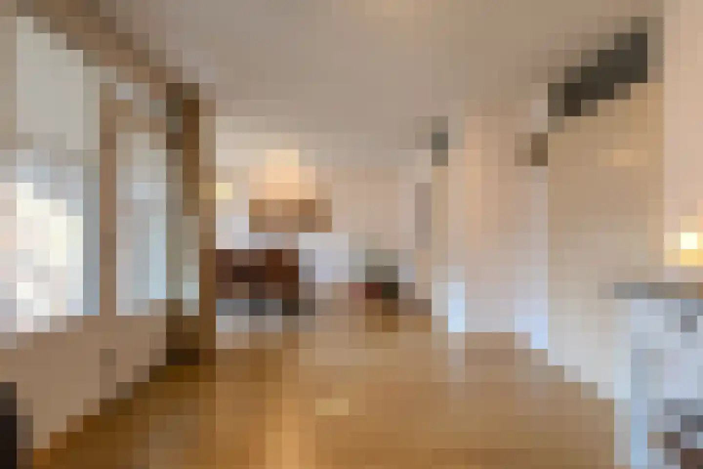 Kapittelhof 16 Oirschot thumbnail 13