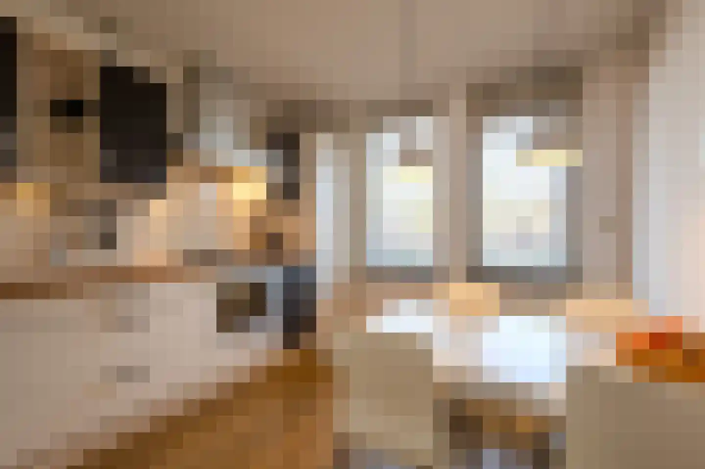Kapittelhof 16 Oirschot thumbnail 16