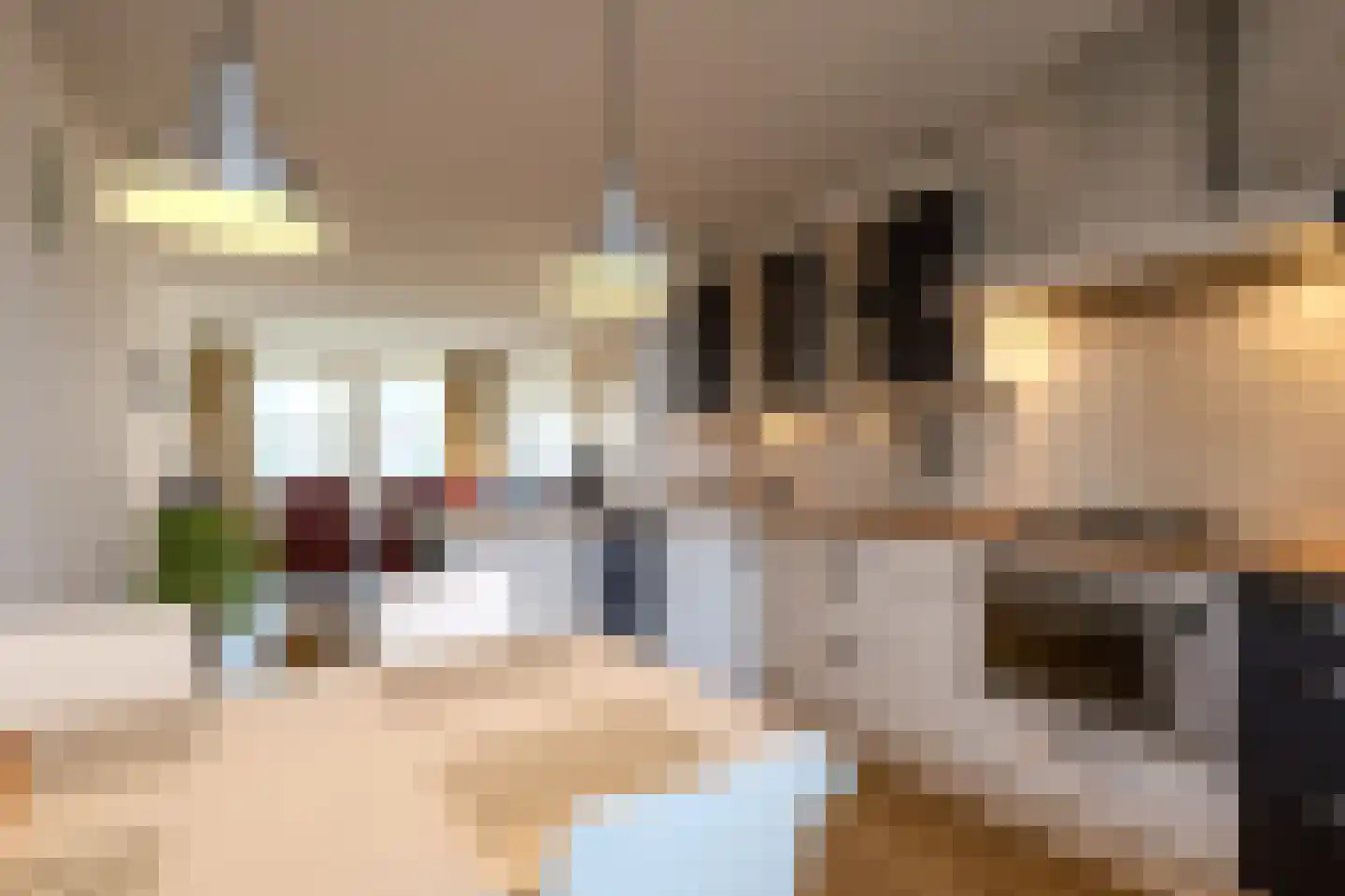 Kapittelhof 16 Oirschot thumbnail 17