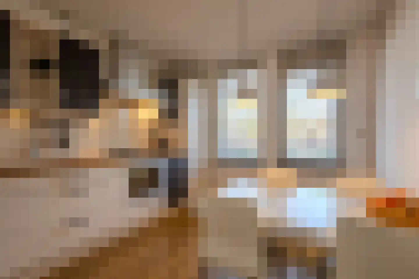 Kapittelhof 16 Oirschot thumbnail 17