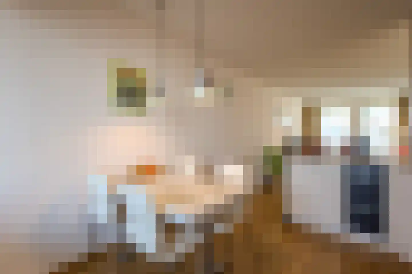 Kapittelhof 16 Oirschot thumbnail 19