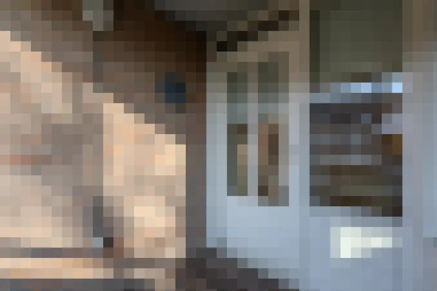 Kapittelhof 16 Oirschot thumbnail 20