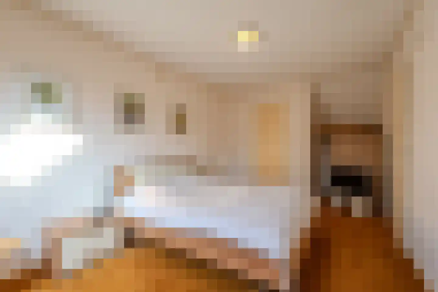 Kapittelhof 16 Oirschot thumbnail 25