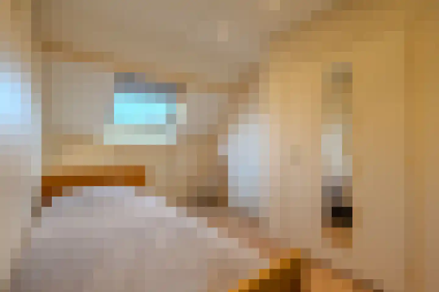 Kapittelhof 16 Oirschot thumbnail 30