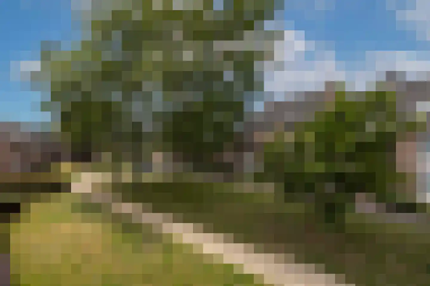 Kapittelhof 16 Oirschot thumbnail 31