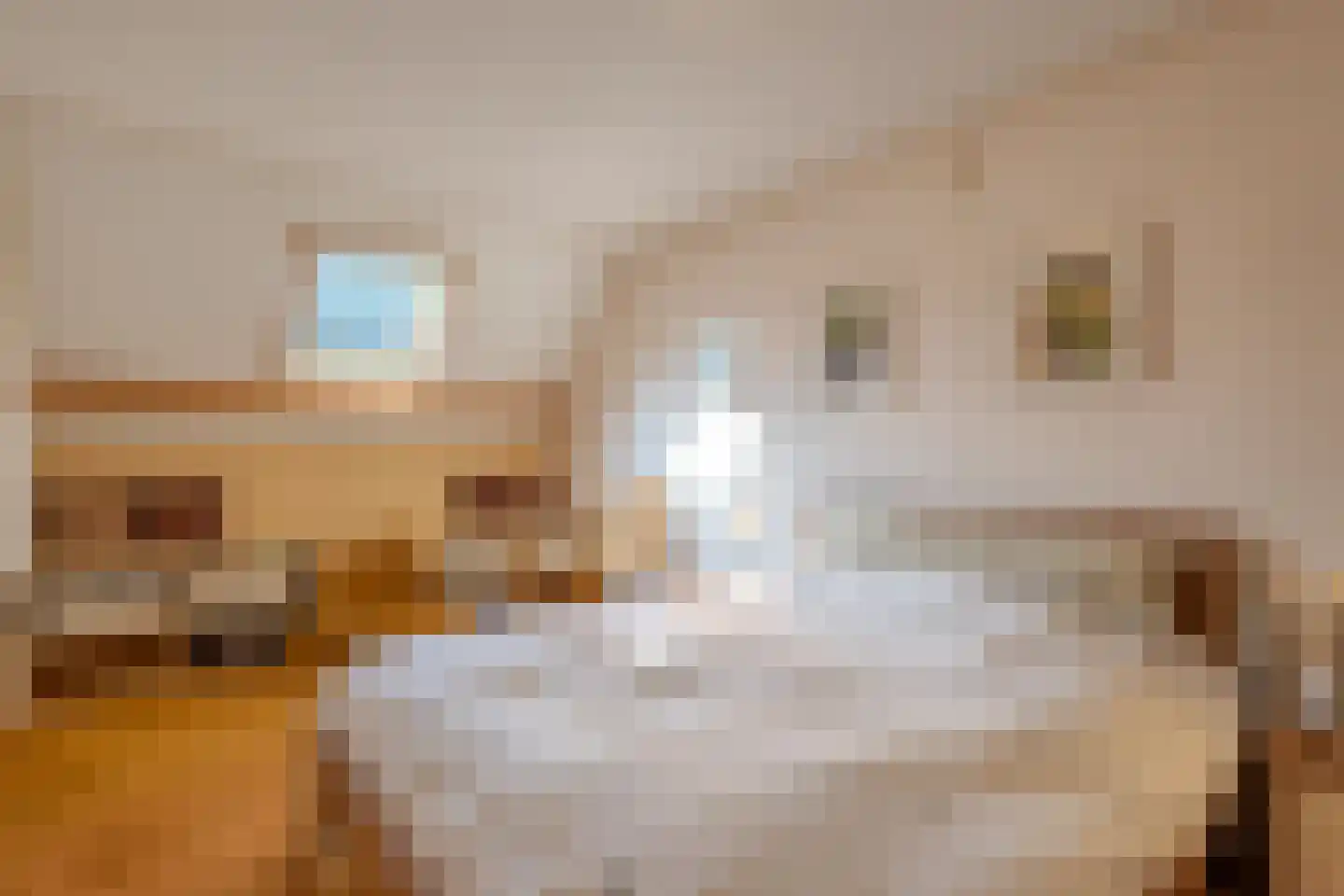 Kapittelhof 16 Oirschot thumbnail 4