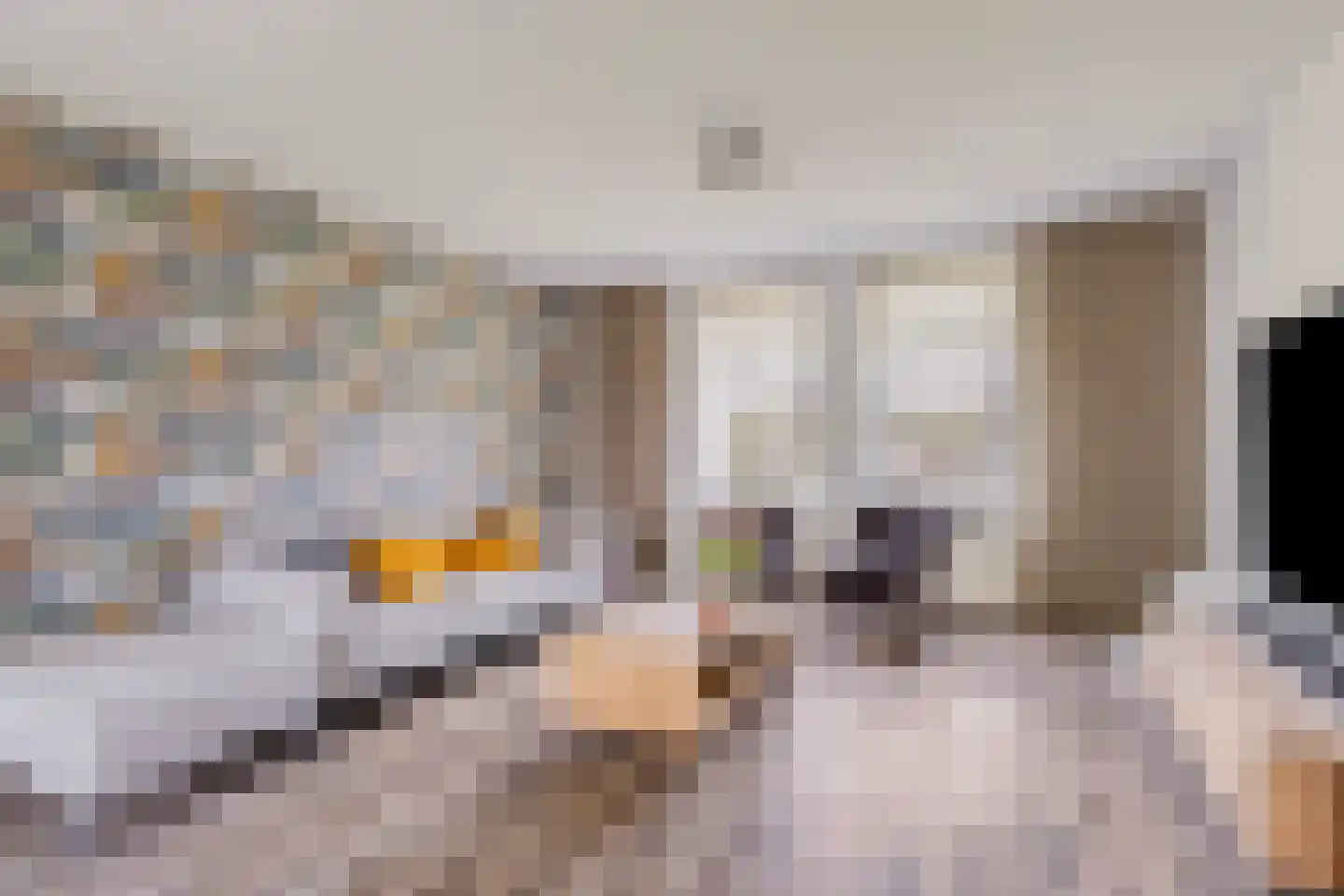 Kapittelhof 27 Oirschot thumbnail 14