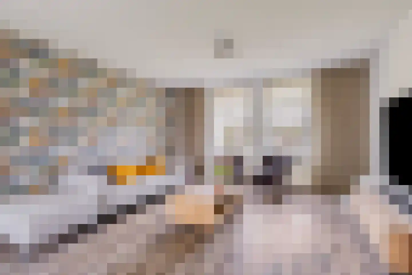 Kapittelhof 27 Oirschot thumbnail 14