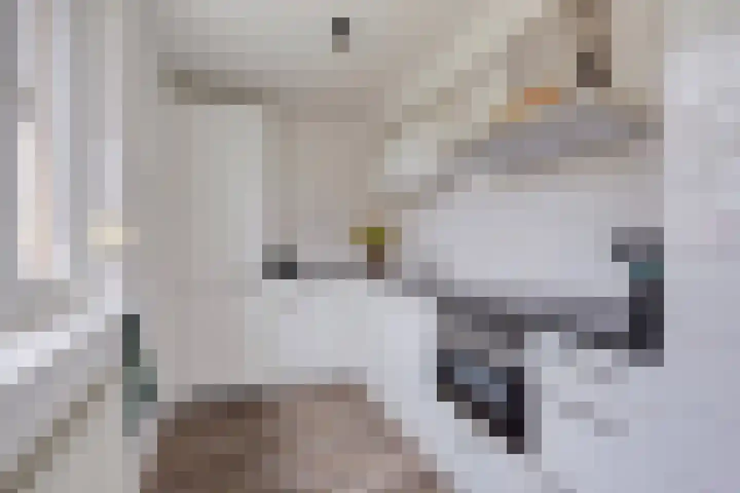 Kapittelhof 27 Oirschot thumbnail 16