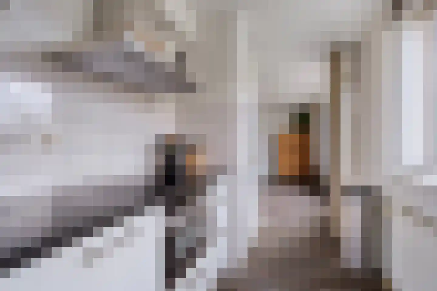 Kapittelhof 27 Oirschot thumbnail 17