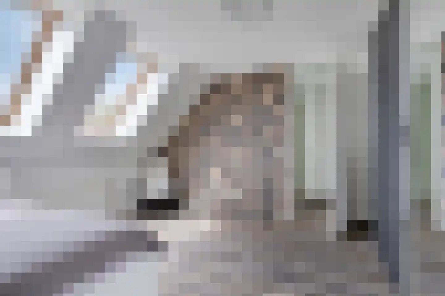 Kapittelhof 27 Oirschot thumbnail 22