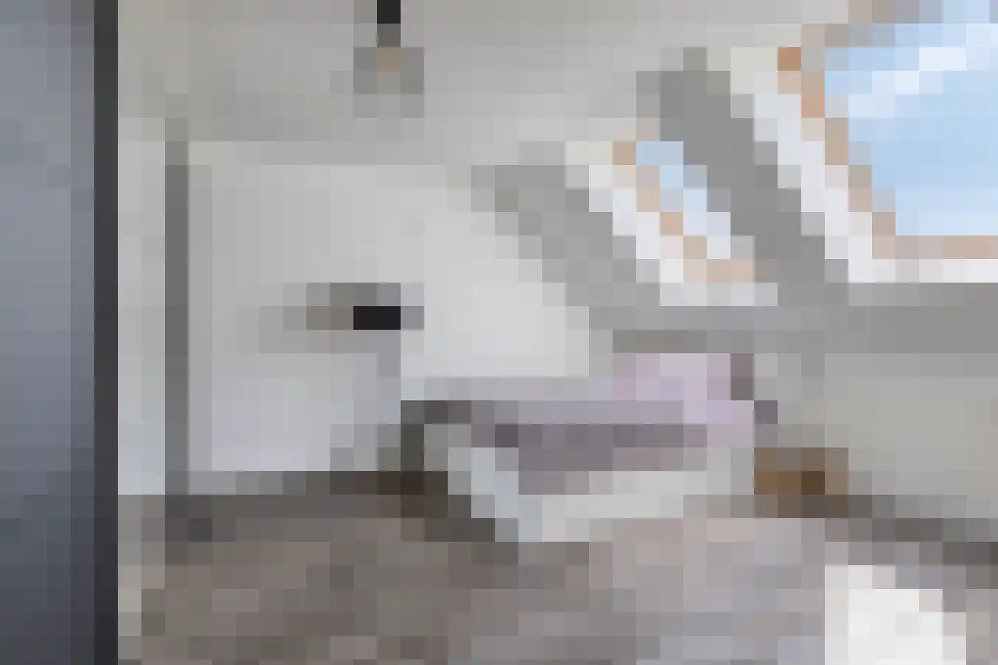 Kapittelhof 27 Oirschot thumbnail 23