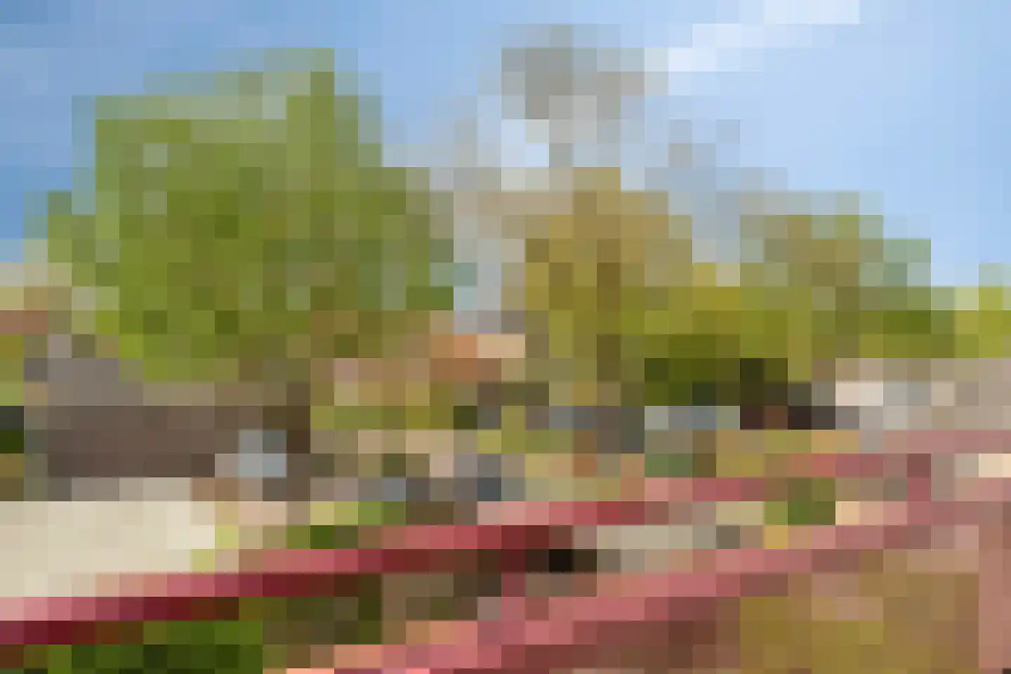 Kapittelhof 27 Oirschot thumbnail 32