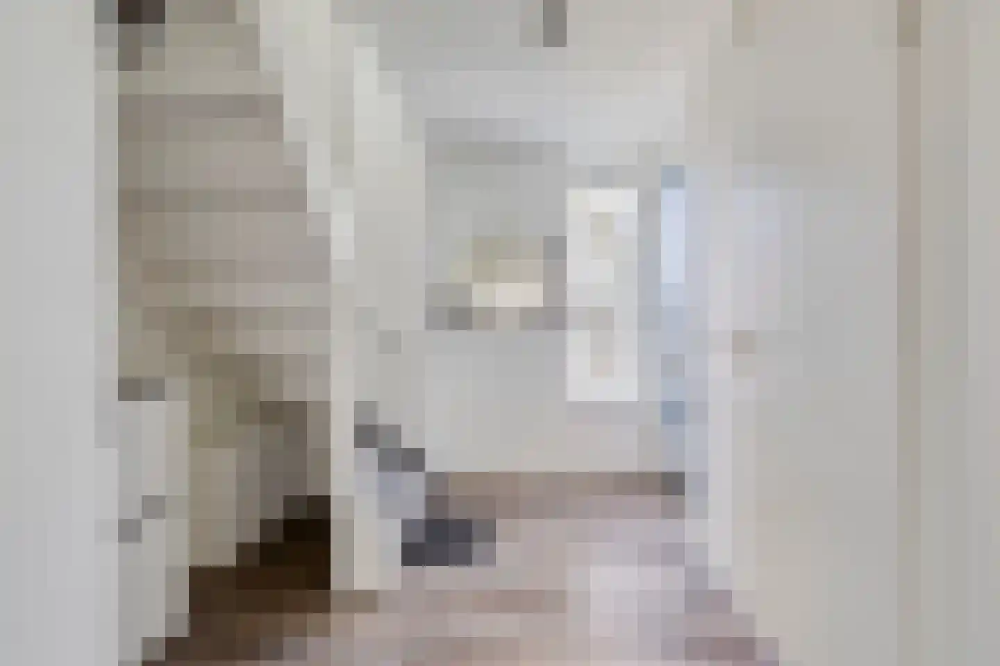 Kapittelhof 27 Oirschot thumbnail 7