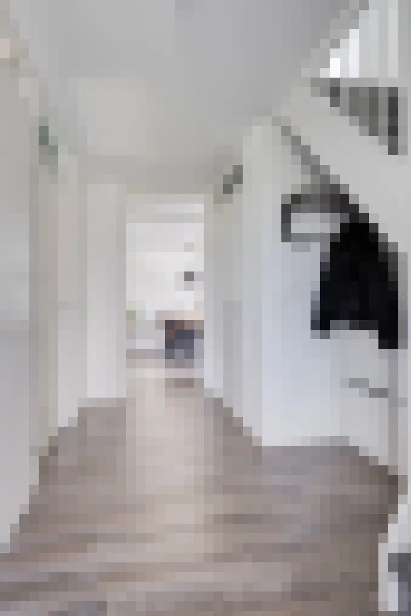 Kapittelhof 27 Oirschot thumbnail 8