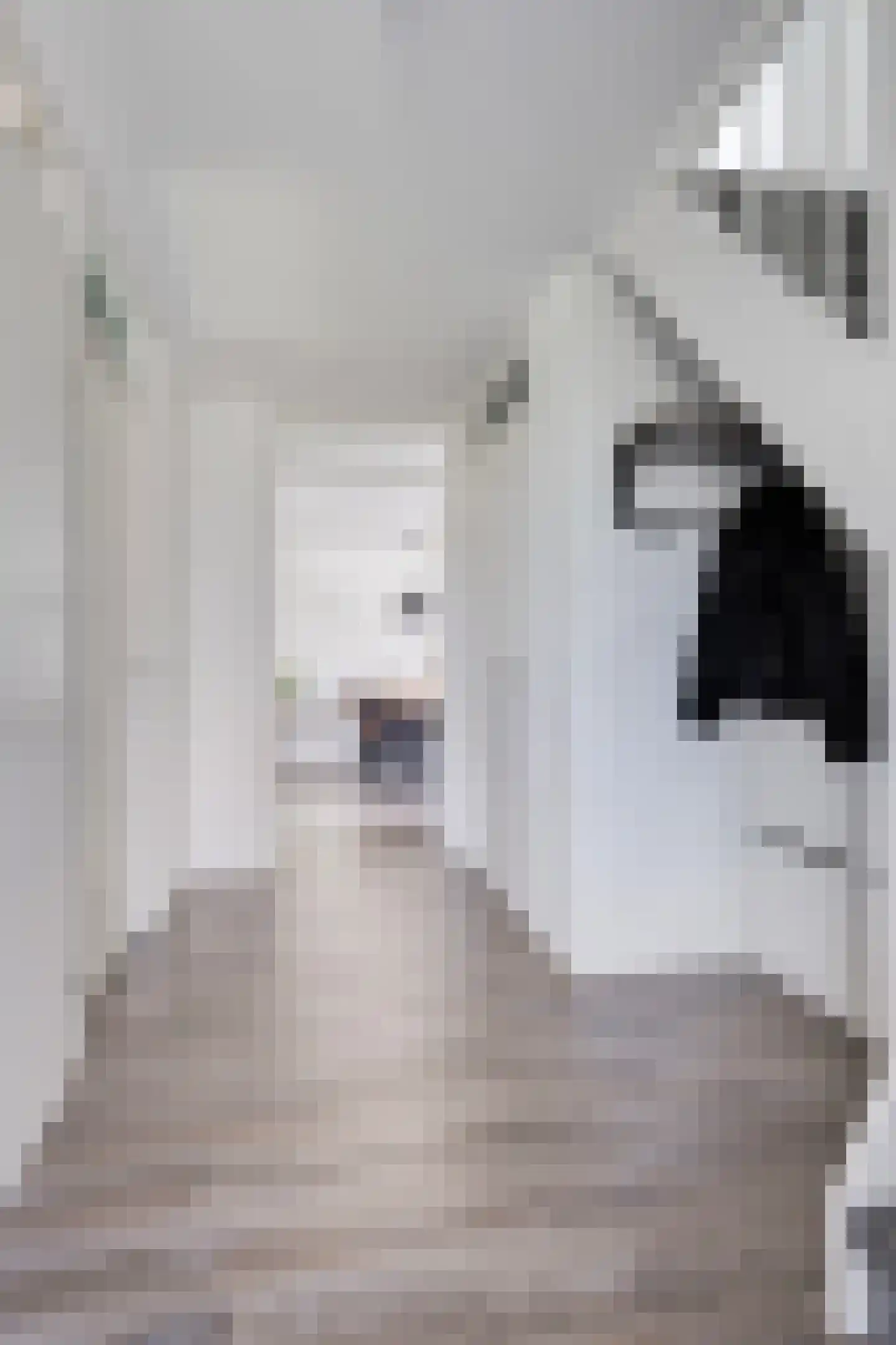 Kapittelhof 27 Oirschot thumbnail 8