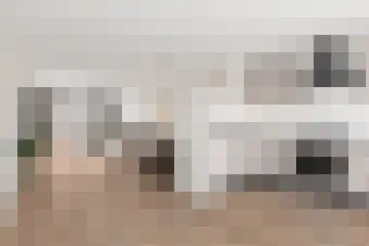 Kapittelhof 41 Oirschot thumbnail 13