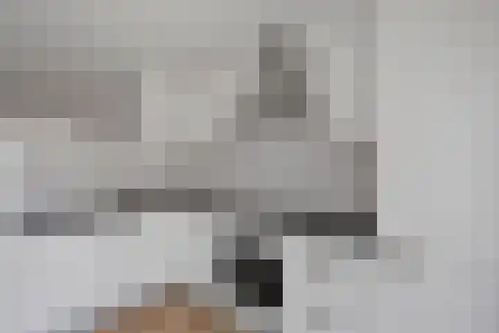 Kapittelhof 41 Oirschot thumbnail 14