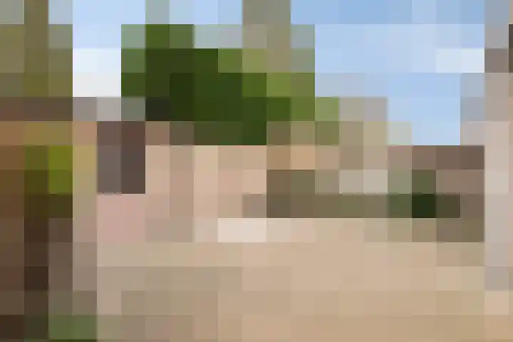 Kapittelhof 41 Oirschot thumbnail 22
