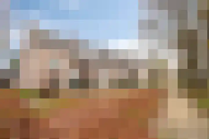 Kapittelhof 41 Oirschot thumbnail 24