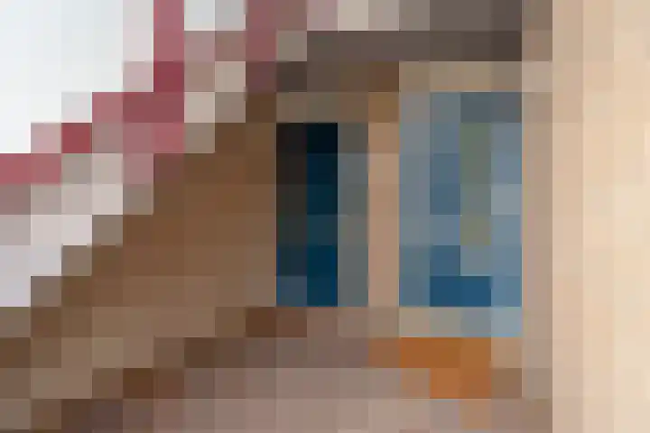 Kapittelhof 41 Oirschot thumbnail 6