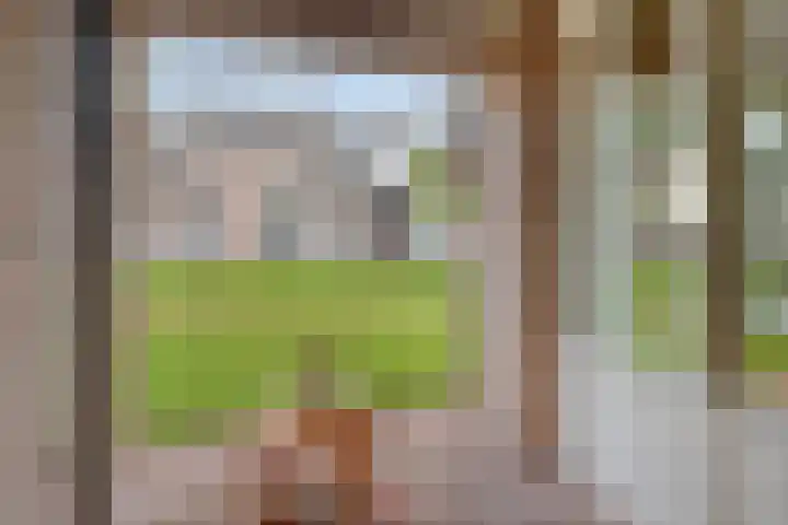 Kapittelhof 8 Oirschot thumbnail 15