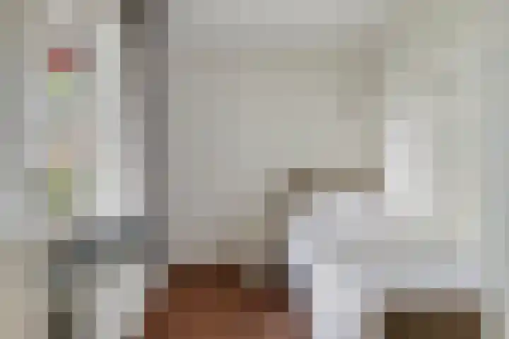 Kapittelhof 8 Oirschot thumbnail 18