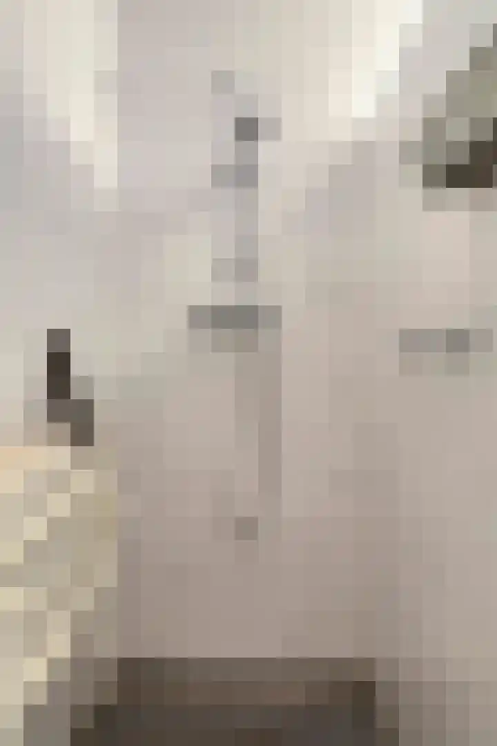 Kapittelhof 8 Oirschot thumbnail 21