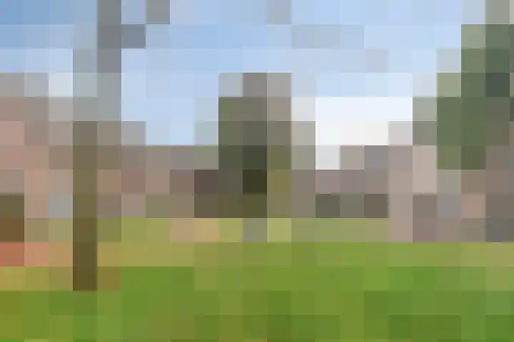Kapittelhof 8 Oirschot thumbnail 25