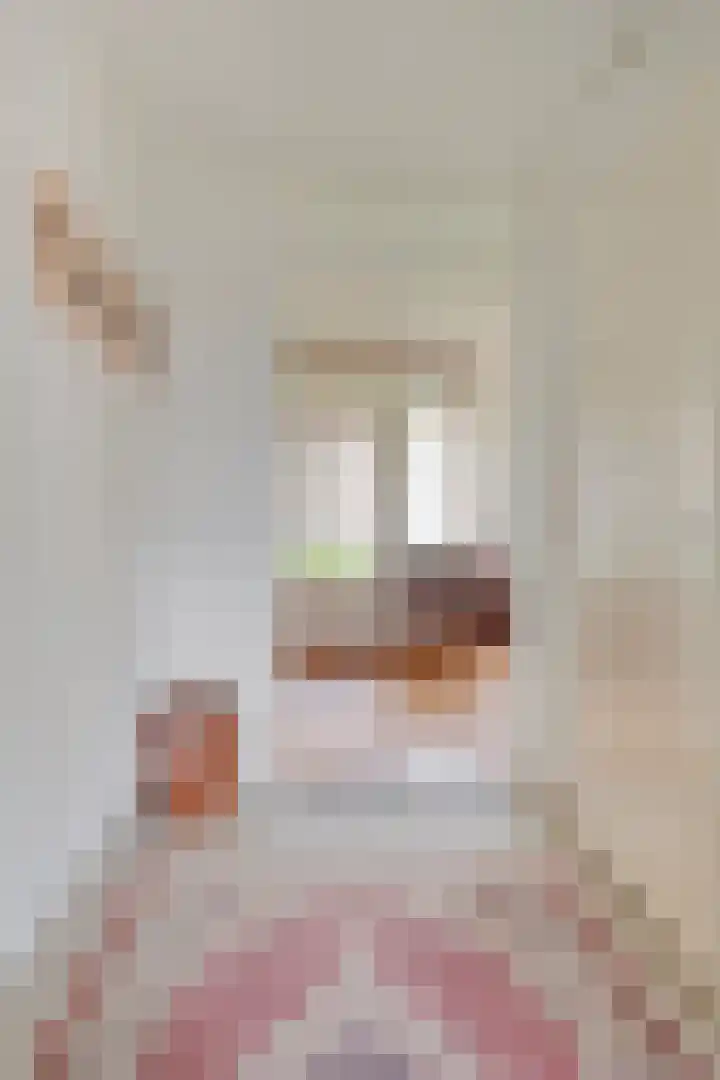 Kapittelhof 8 Oirschot thumbnail 8