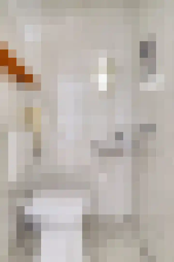 Kapittelhof 8 Oirschot thumbnail 9