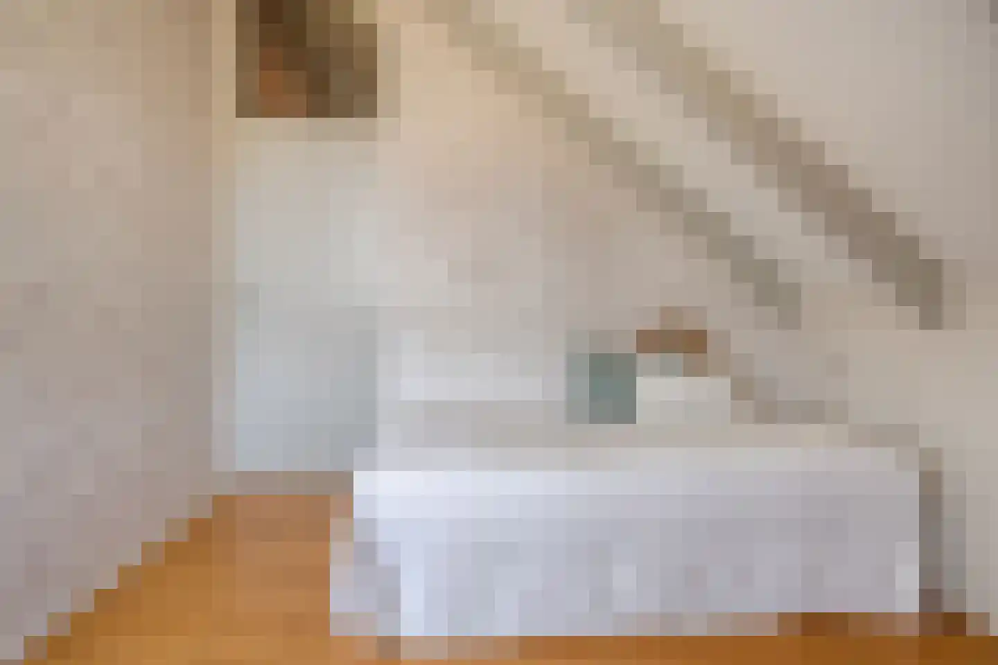 Kapittelhuisstraat 15 Albergen thumbnail 20