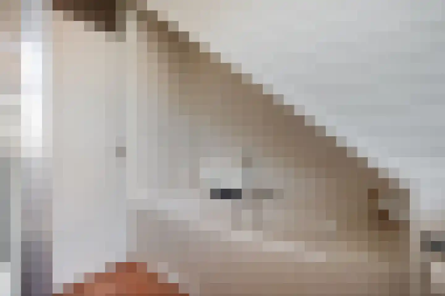 Kapittelhuisstraat 15 Albergen thumbnail 21