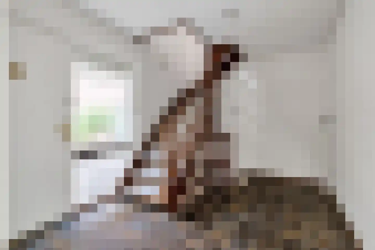 Kapittellaan 124 Maastricht thumbnail 12