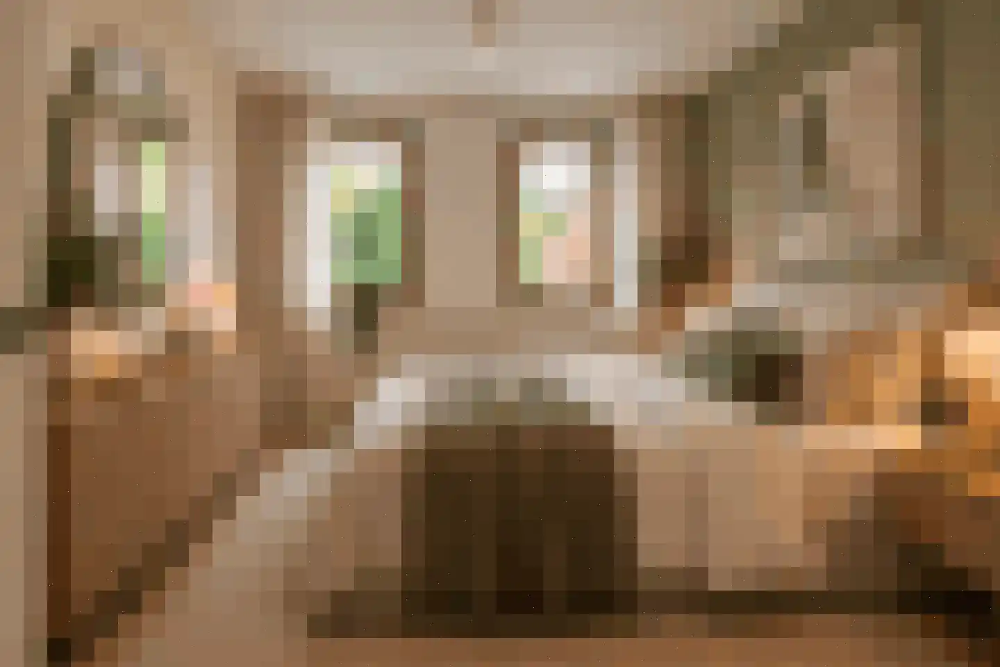 Kapittellaan 124 Maastricht thumbnail 14