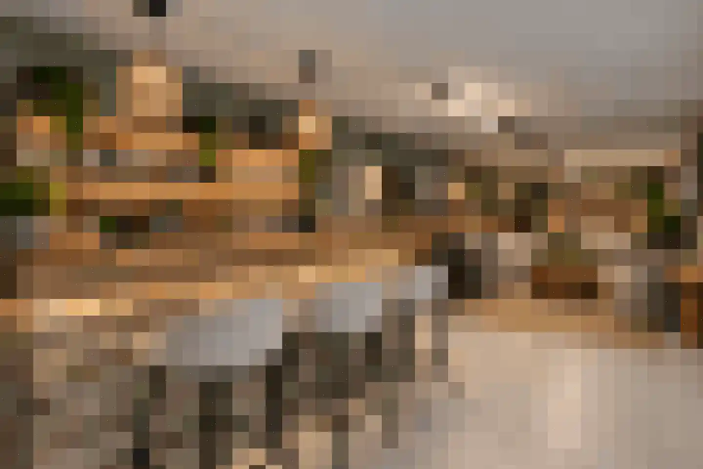 Kapittellaan 124 Maastricht thumbnail 22